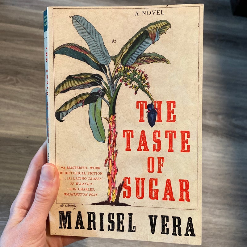 The Taste of Sugar