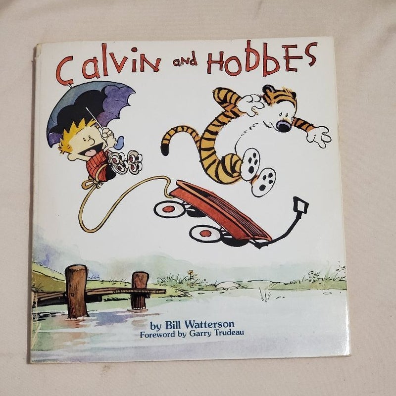 Calvin and Hobbes