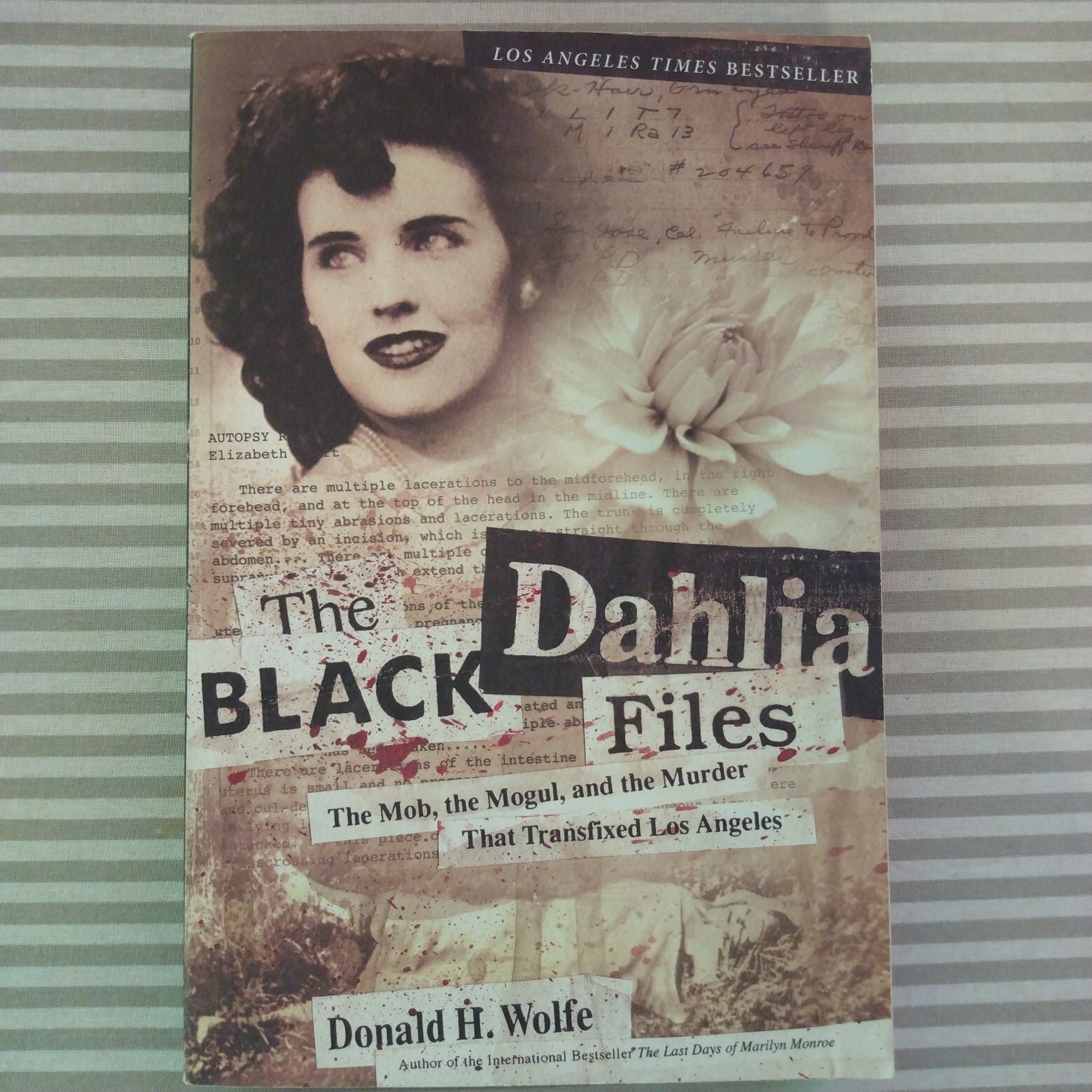 The Black Dahlia Files