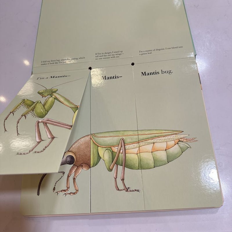 Build-A-Bug