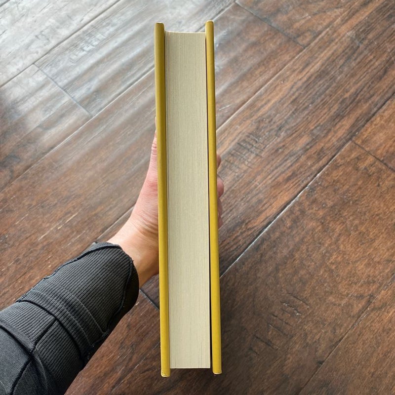 The Near Witch (Barnes and Noble special exclusive edition)