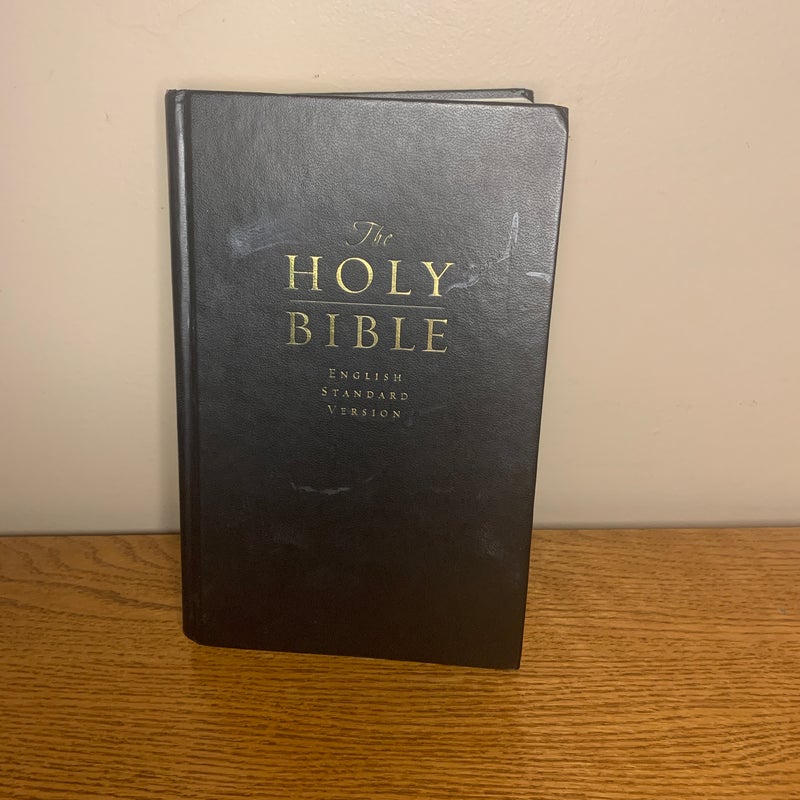 The holy Bible English standard version