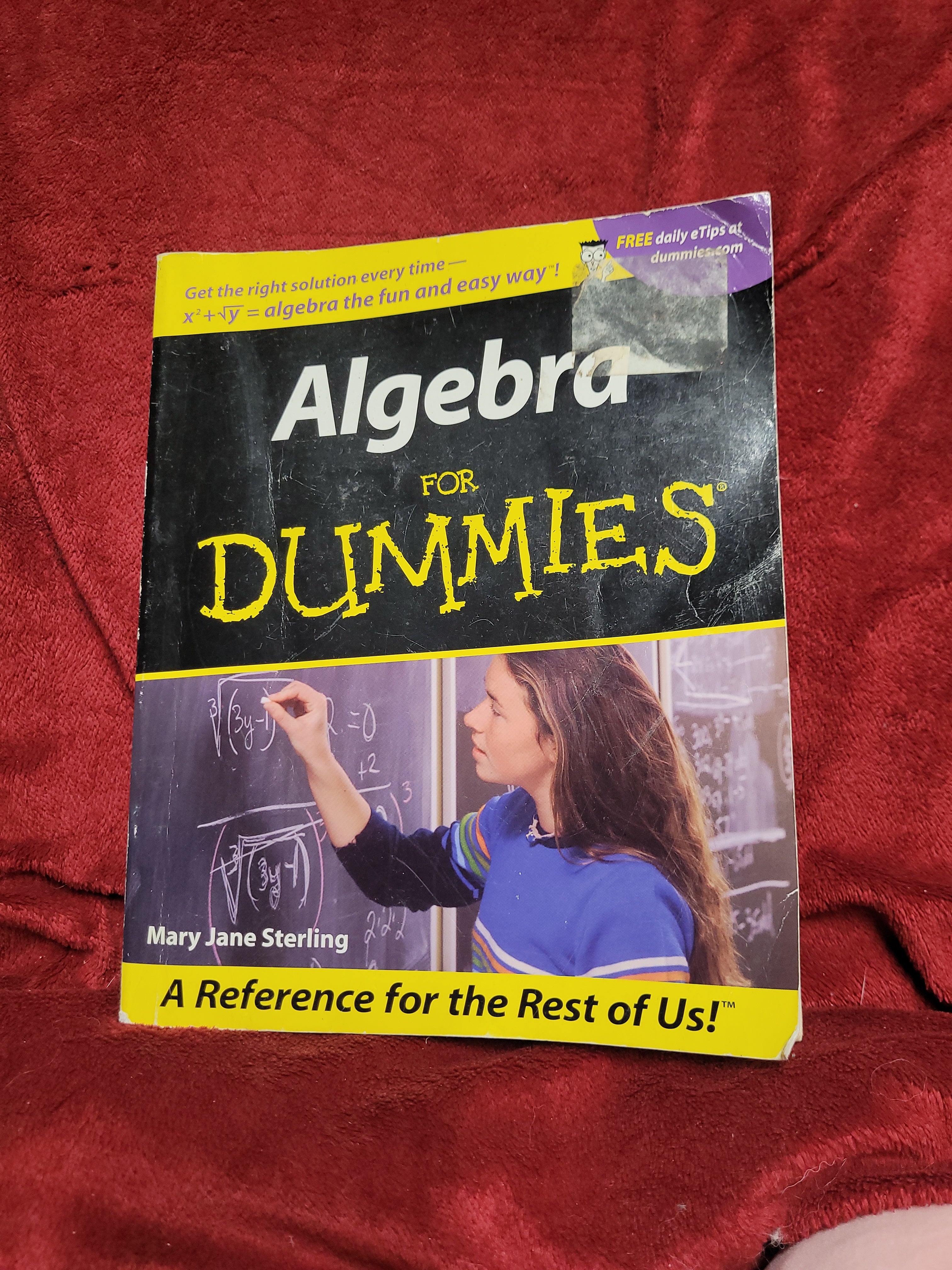 Algebra I for Dummies