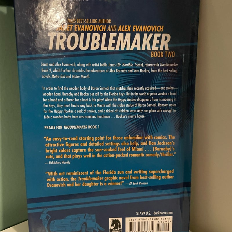 Troublemaker 2