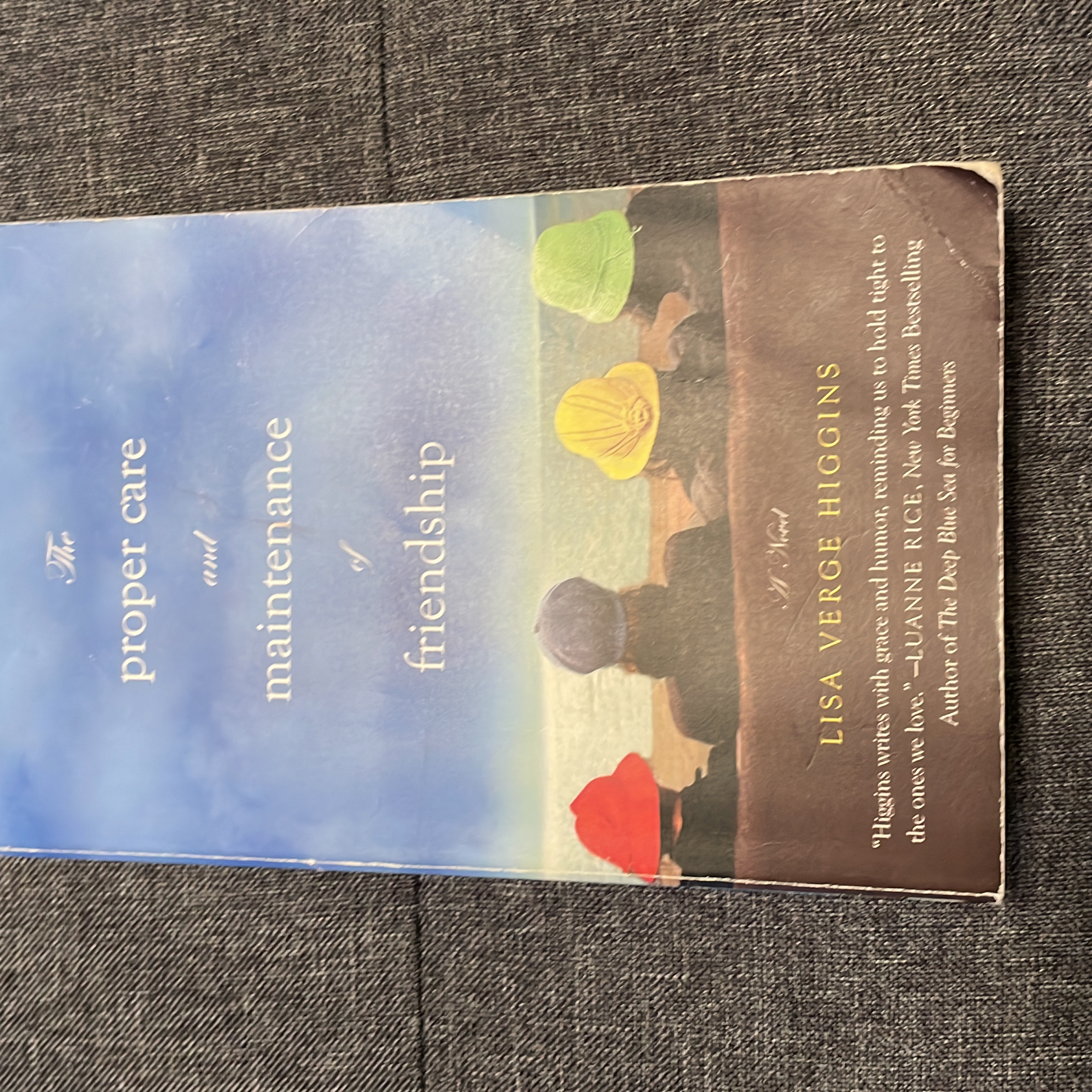 The Proper Care and Maintenance of Friendship