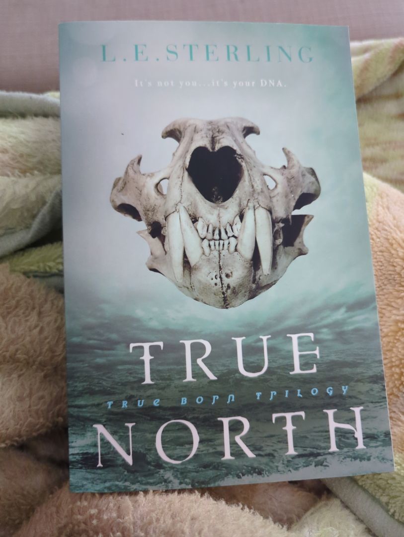 True North