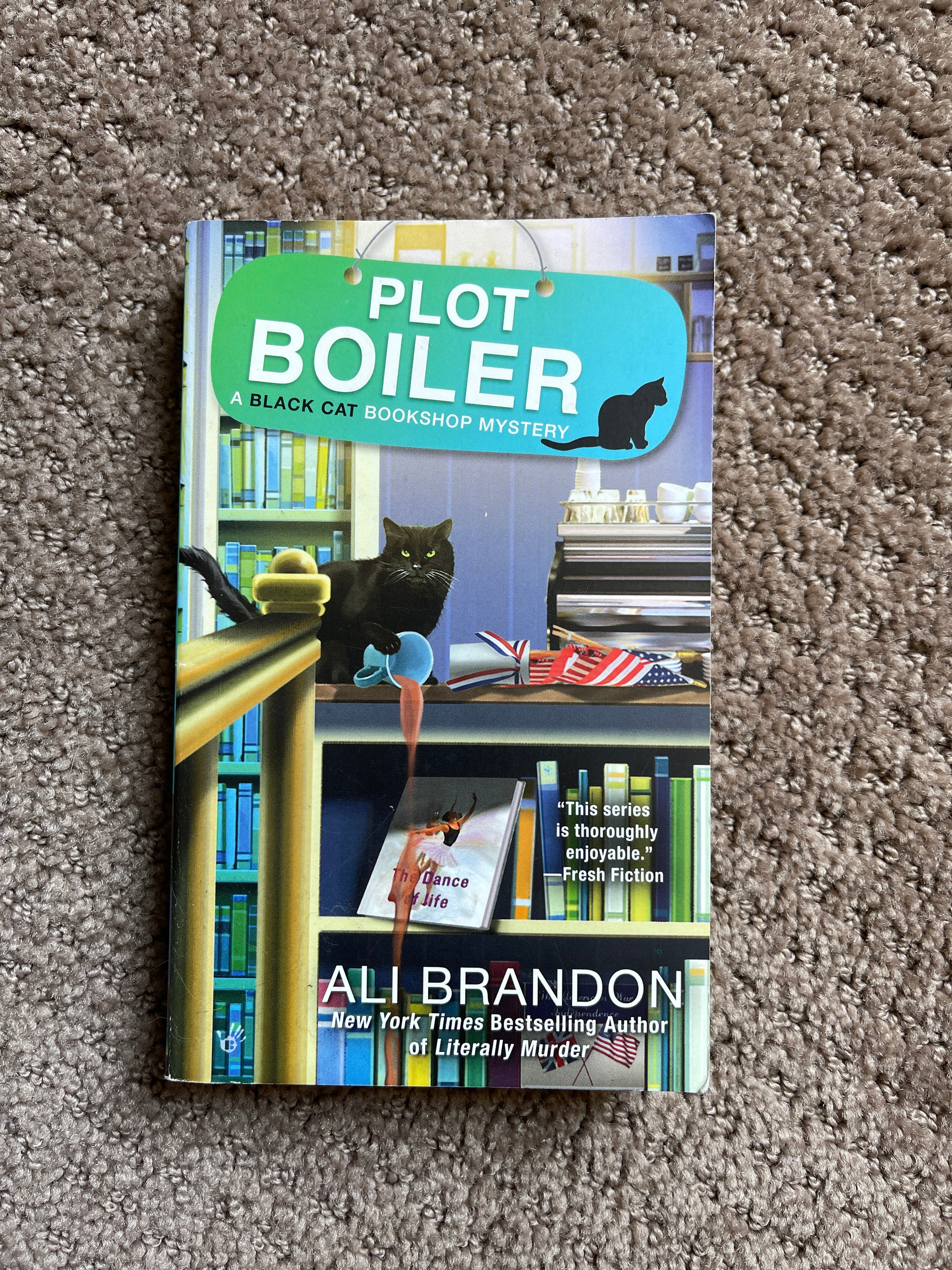 Plot Boiler