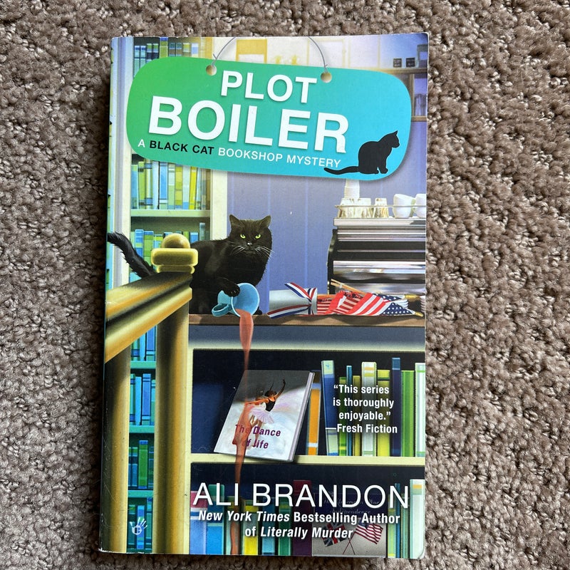 Plot Boiler