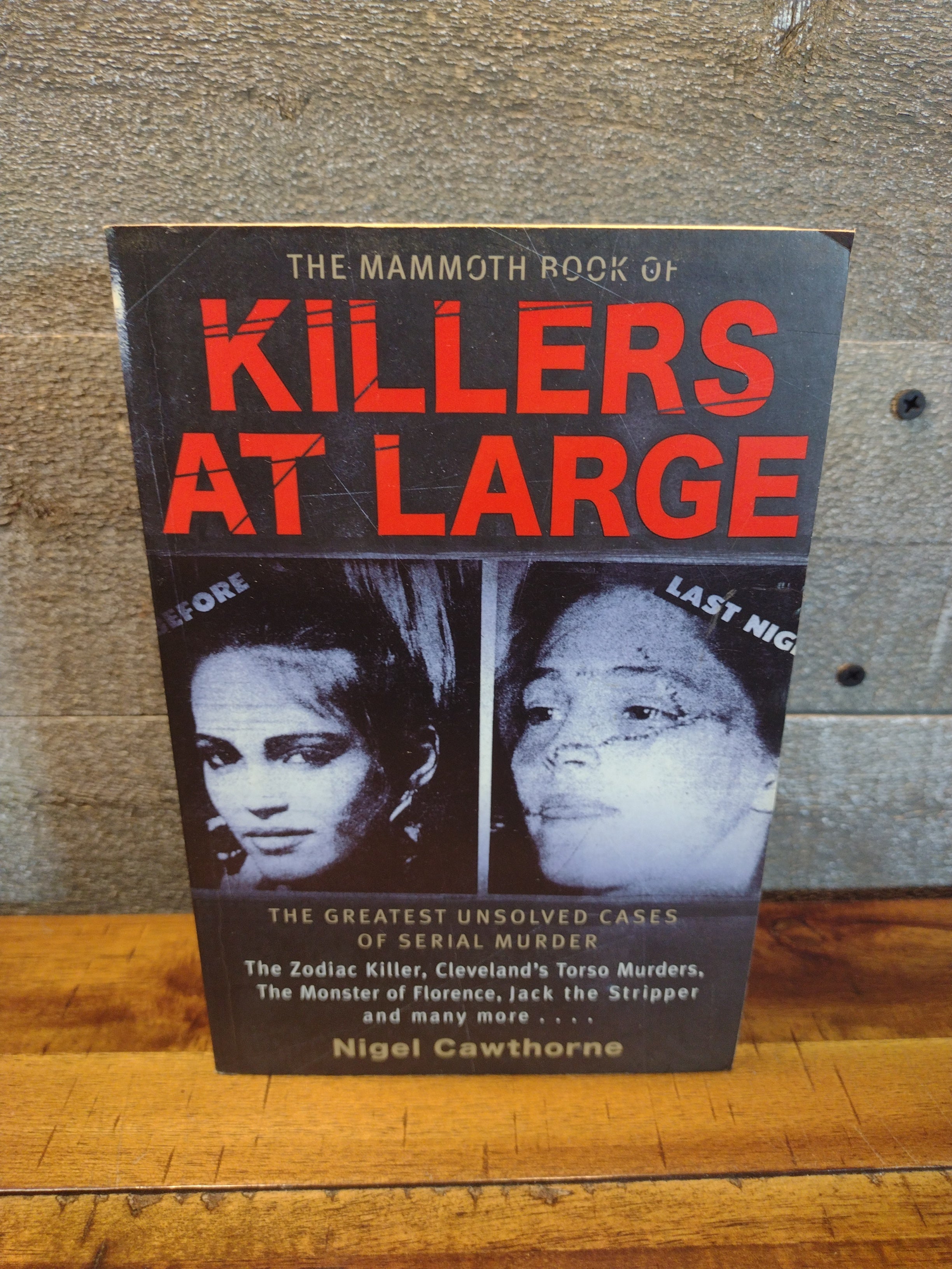 The Mammoth Book of Killers at Large