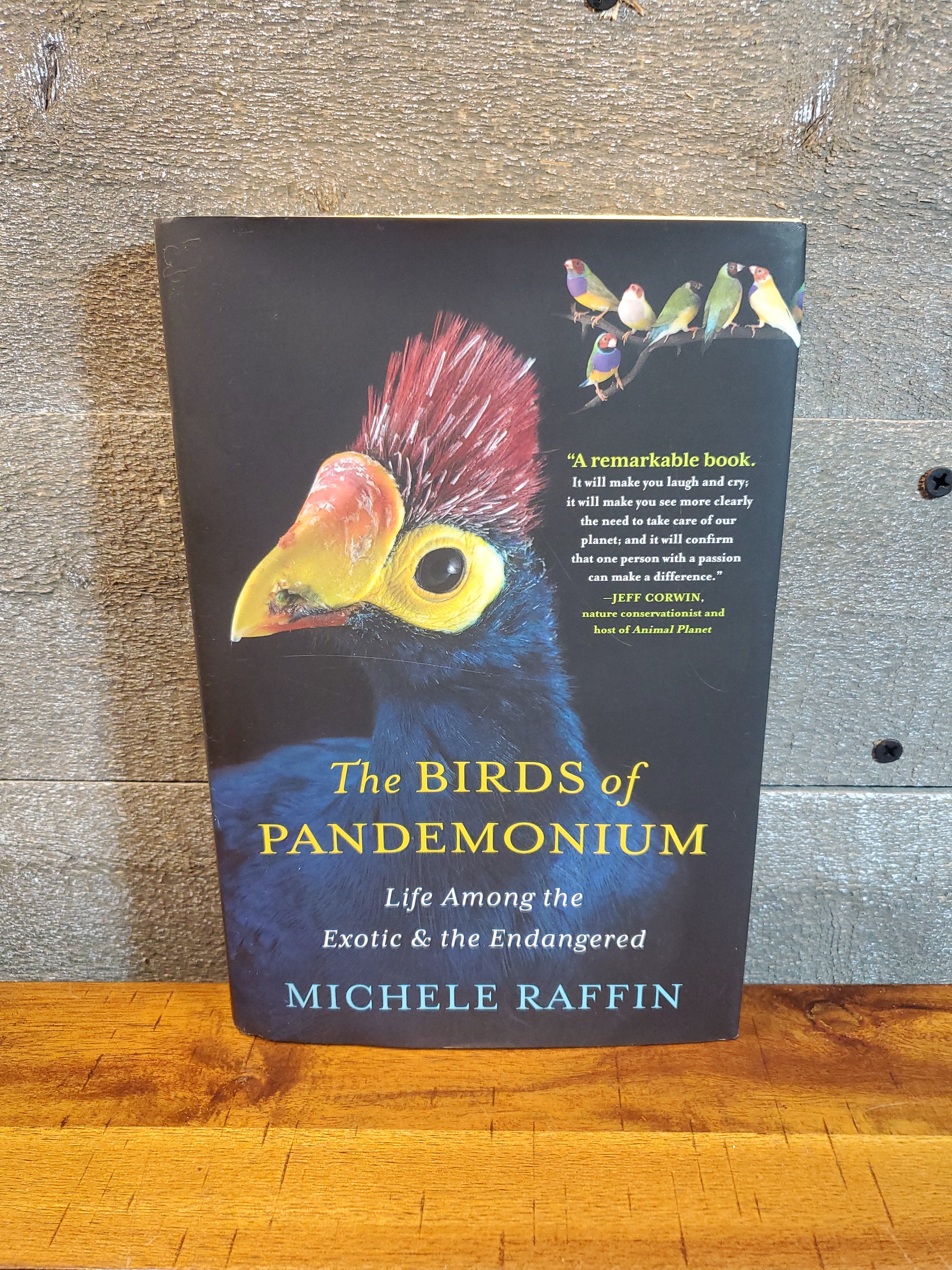 The Birds of Pandemonium