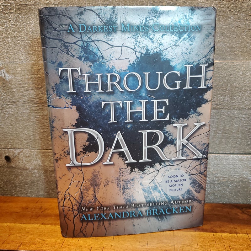 Through the Dark (a Darkest Minds Collection)