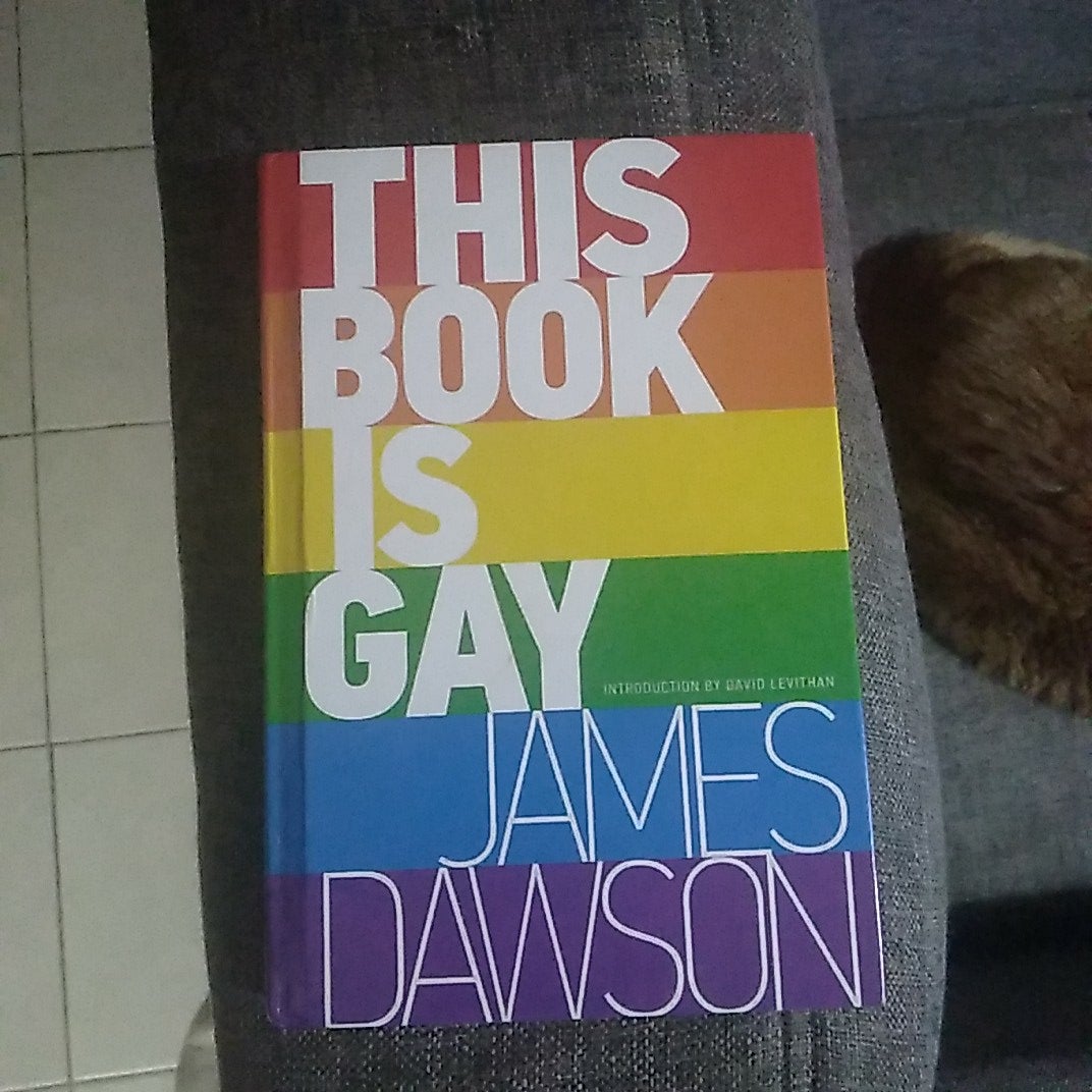 This Book Is Gay