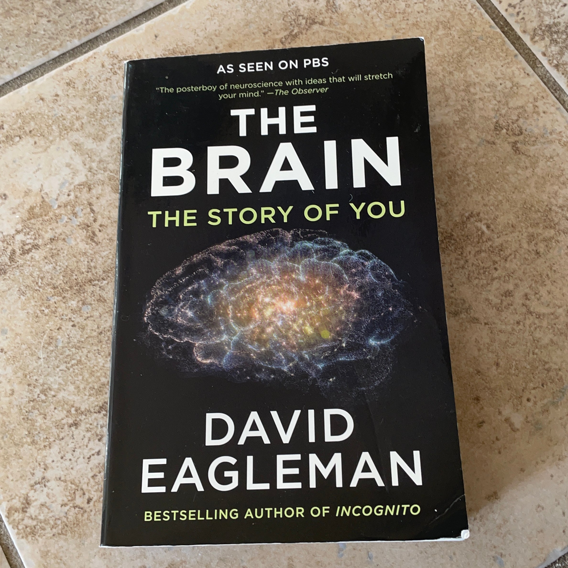 The Brain