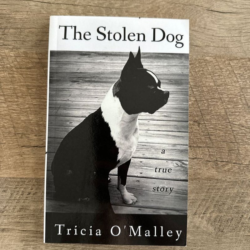 The Stolen Dog