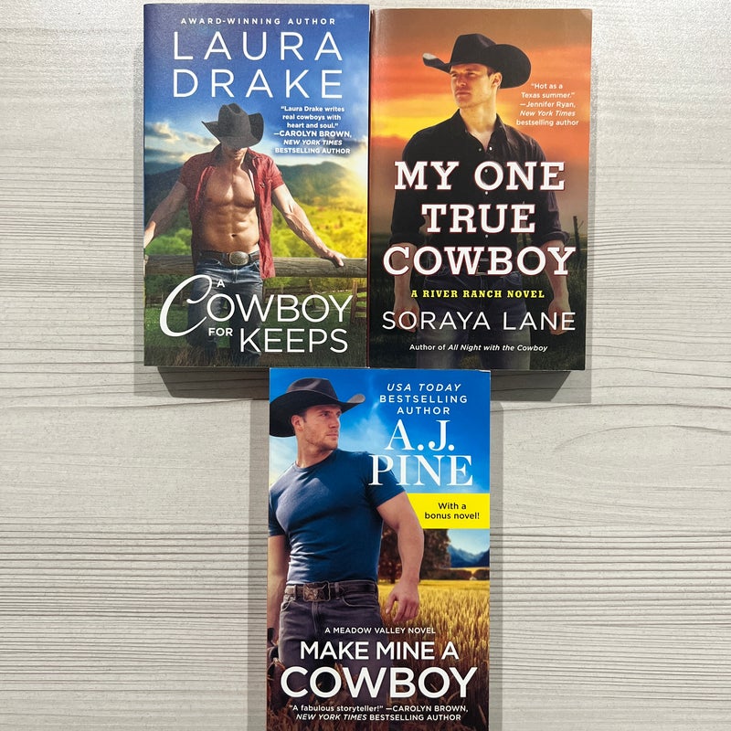 Cowboy romance bundle