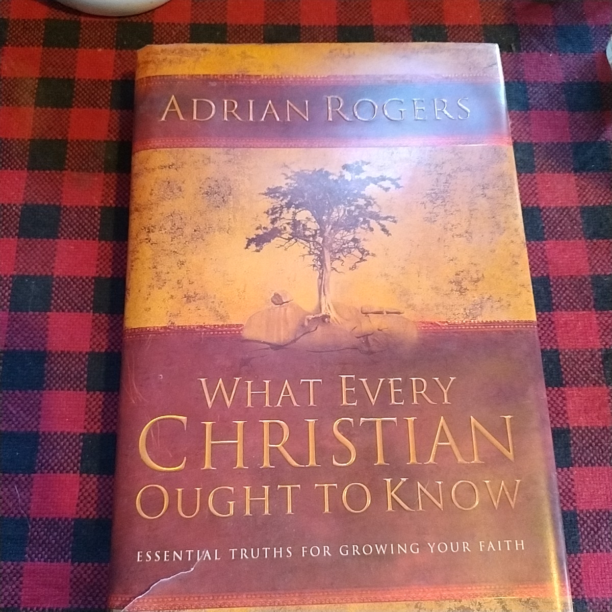 What Every Christian Ought to Know