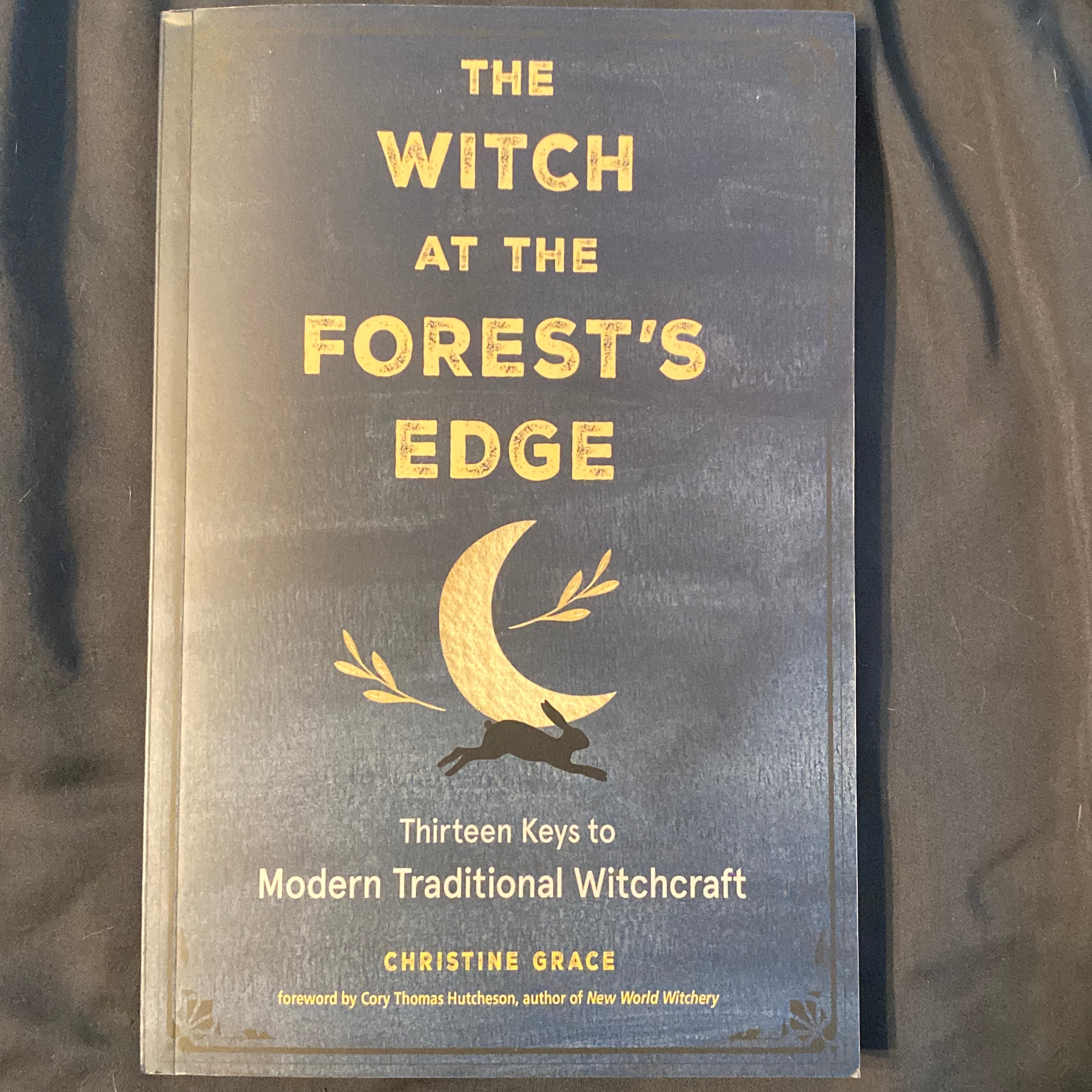 The Witch at the Forest's Edge