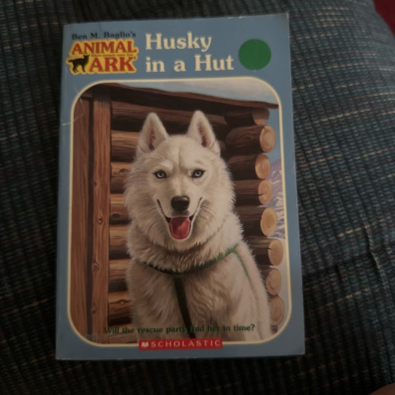 Husky in a Hut