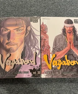 Vagabond, Vol. 28