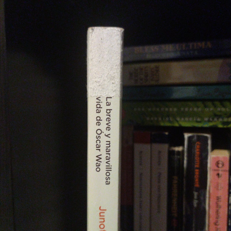 La Breve y Maravillosa Vida de Óscar Wao / the Brief, Wondrous Life of Oscar Wao