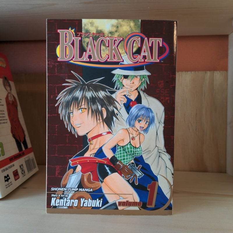 Black Cat, Vol. 1