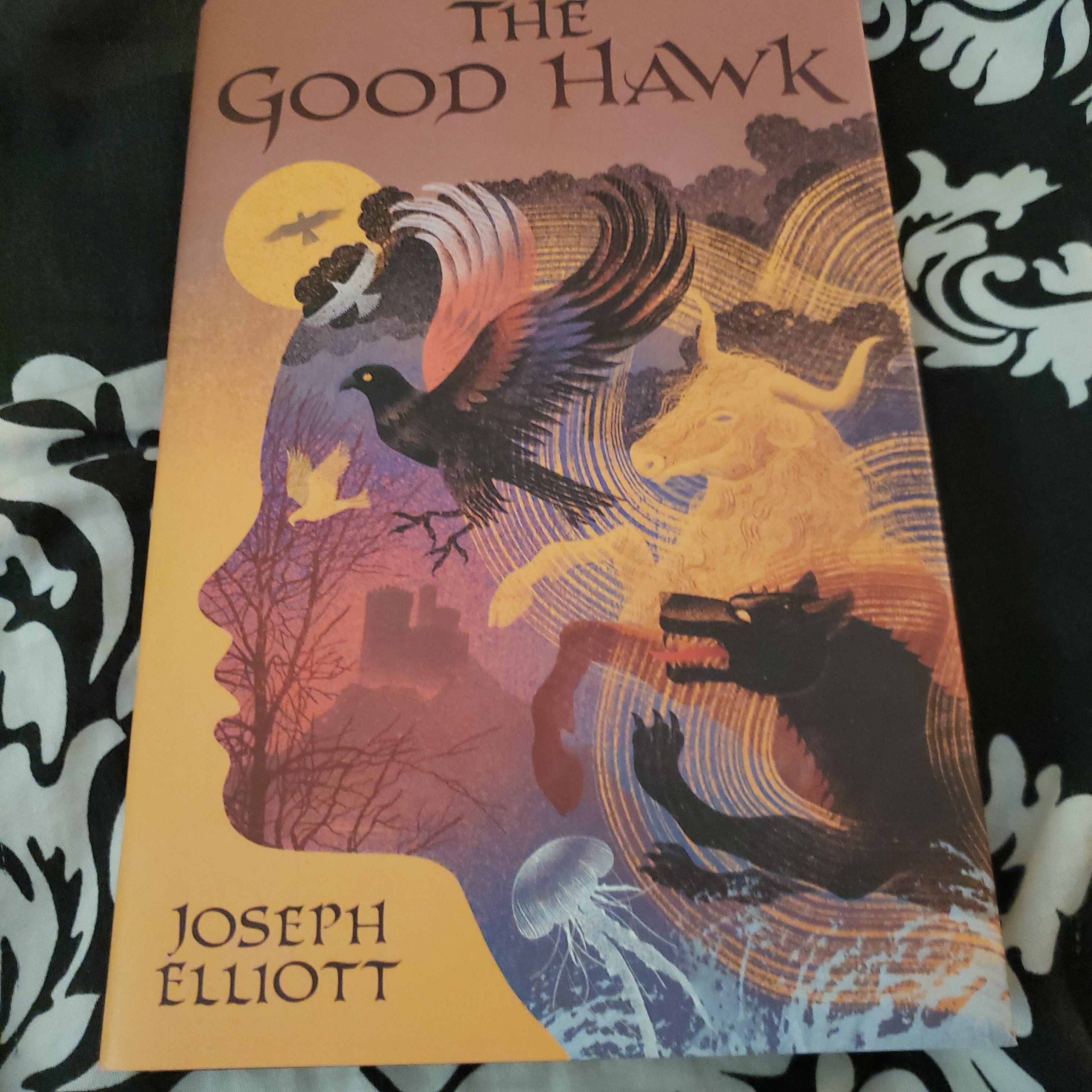 The Good Hawk (Shadow Skye, Book One)