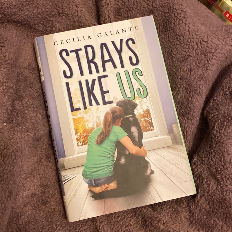 Strays Like Us