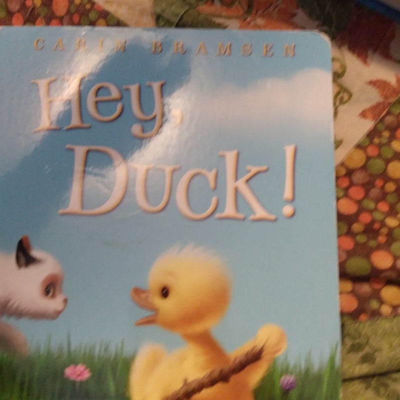 Hey, Duck!