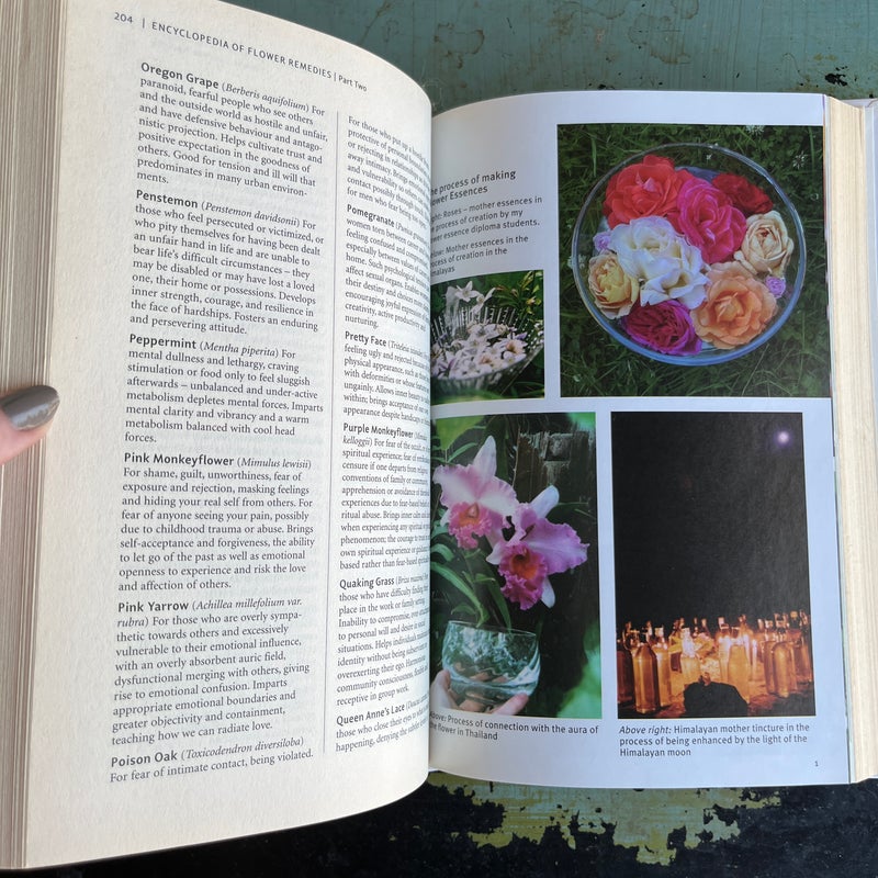 The New Encyclopedia of Flower Remedies