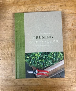 Pruning and Training 