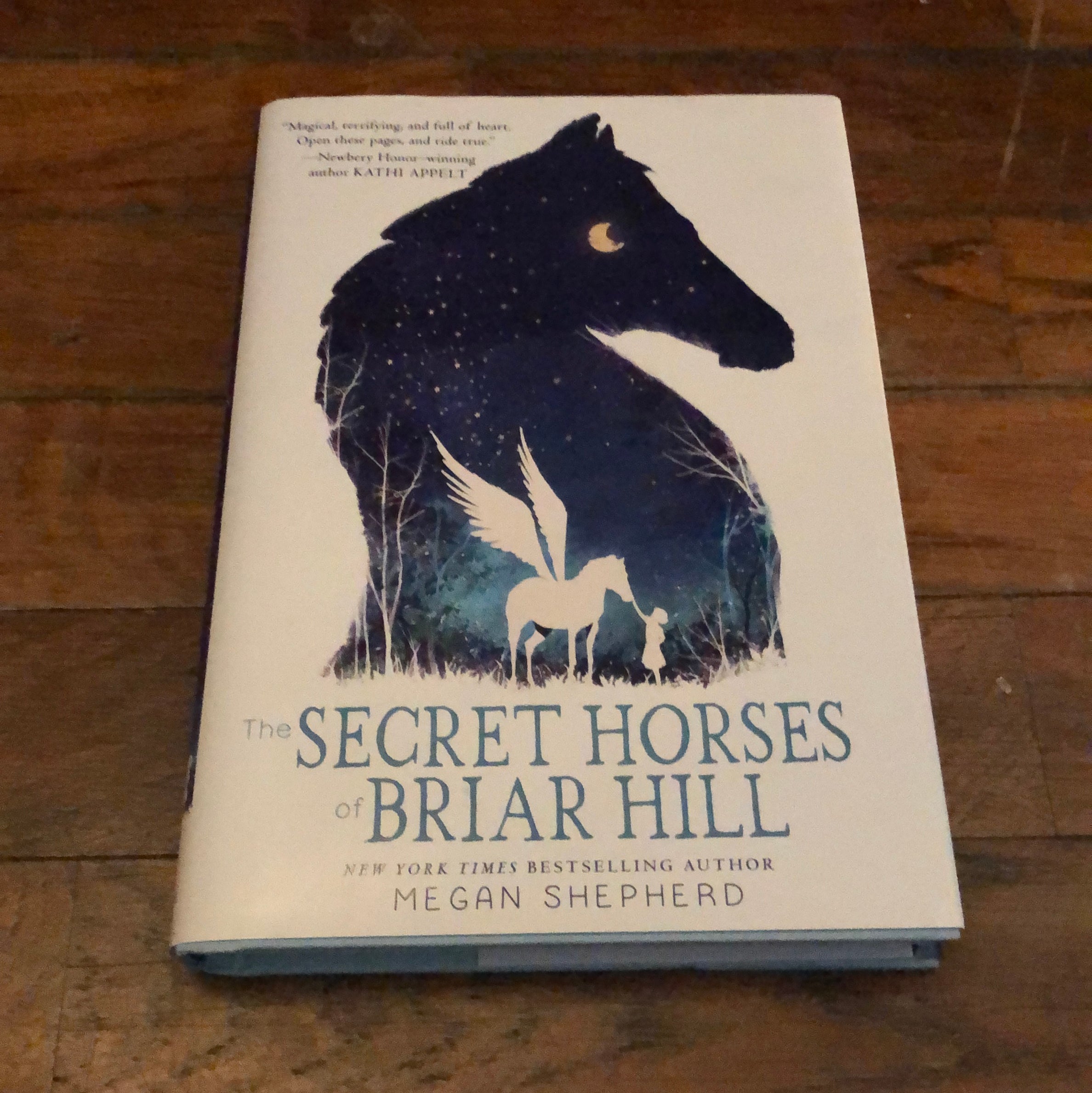 The Secret Horses of Briar Hill