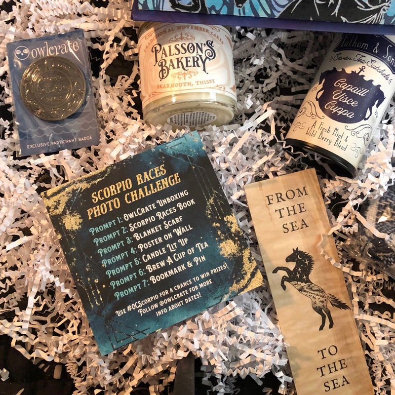 Customized Owlcrate The Scorpio Races Book + Box