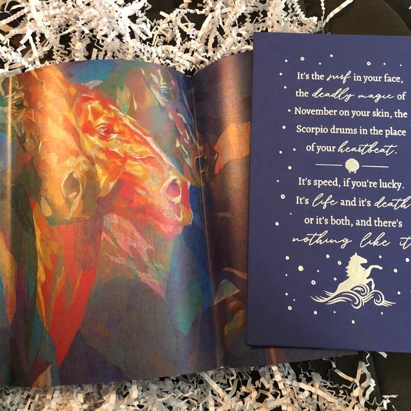 Customized Owlcrate The Scorpio Races Book + Box