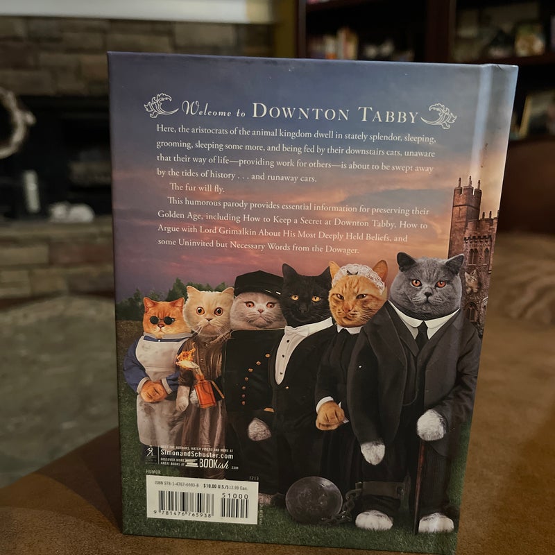 Downton Tabby