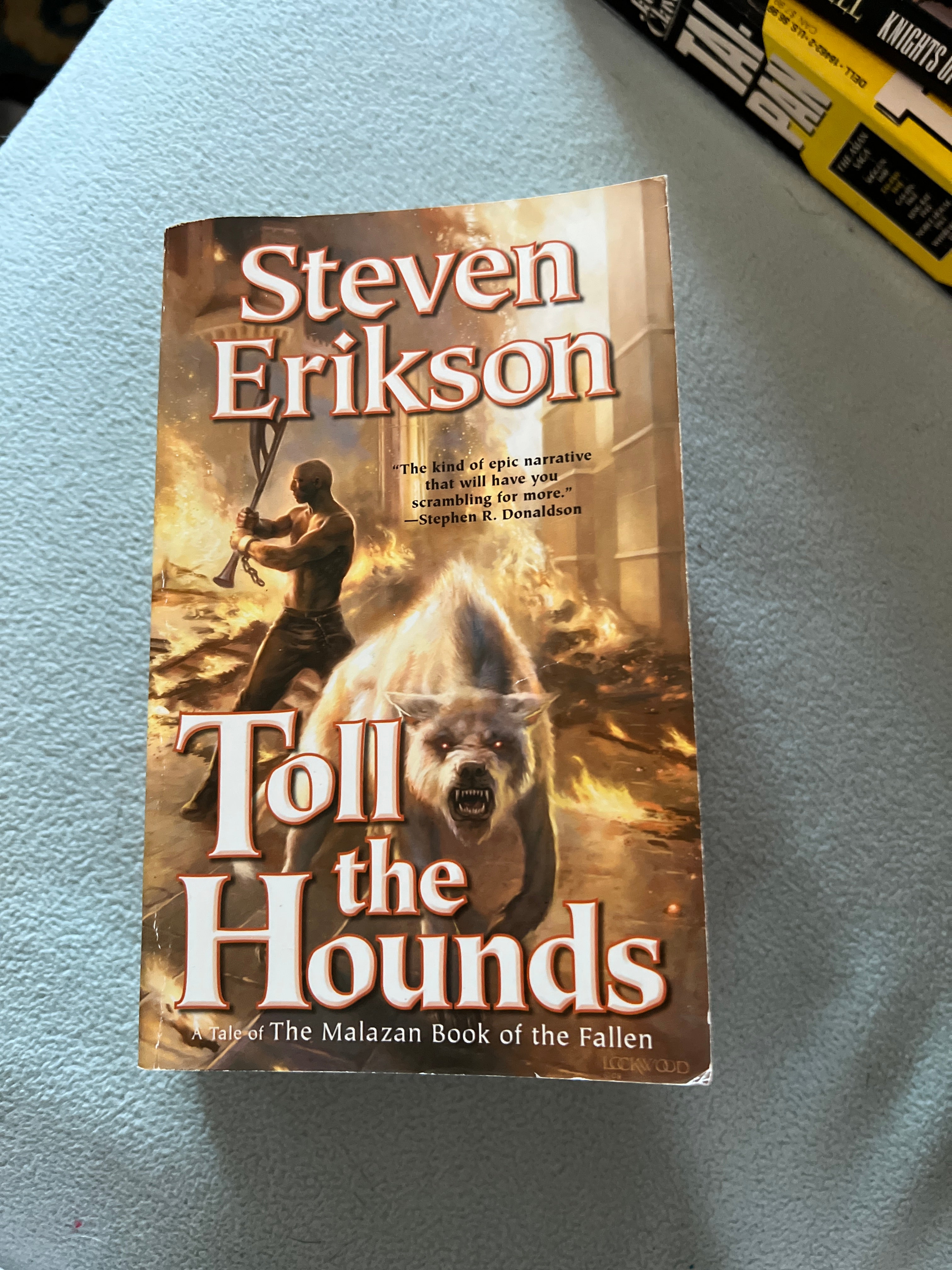 9780765348852 book cover