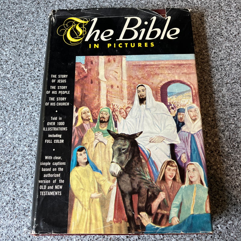 The Bible in Pictures  **