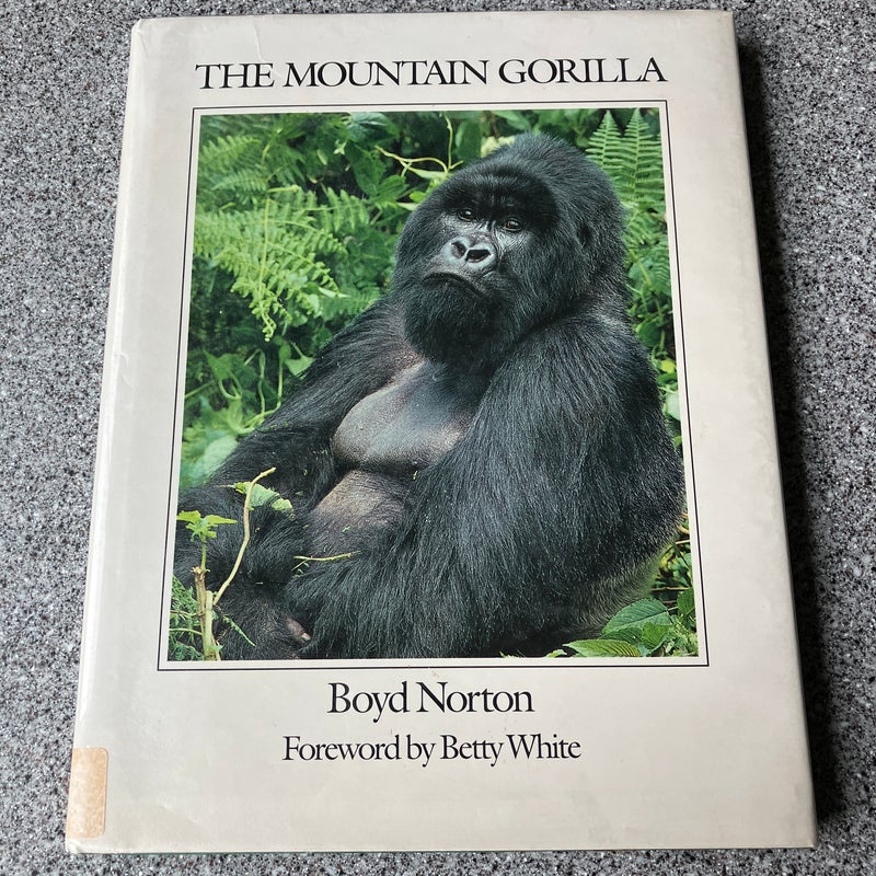 The Mountain Gorilla