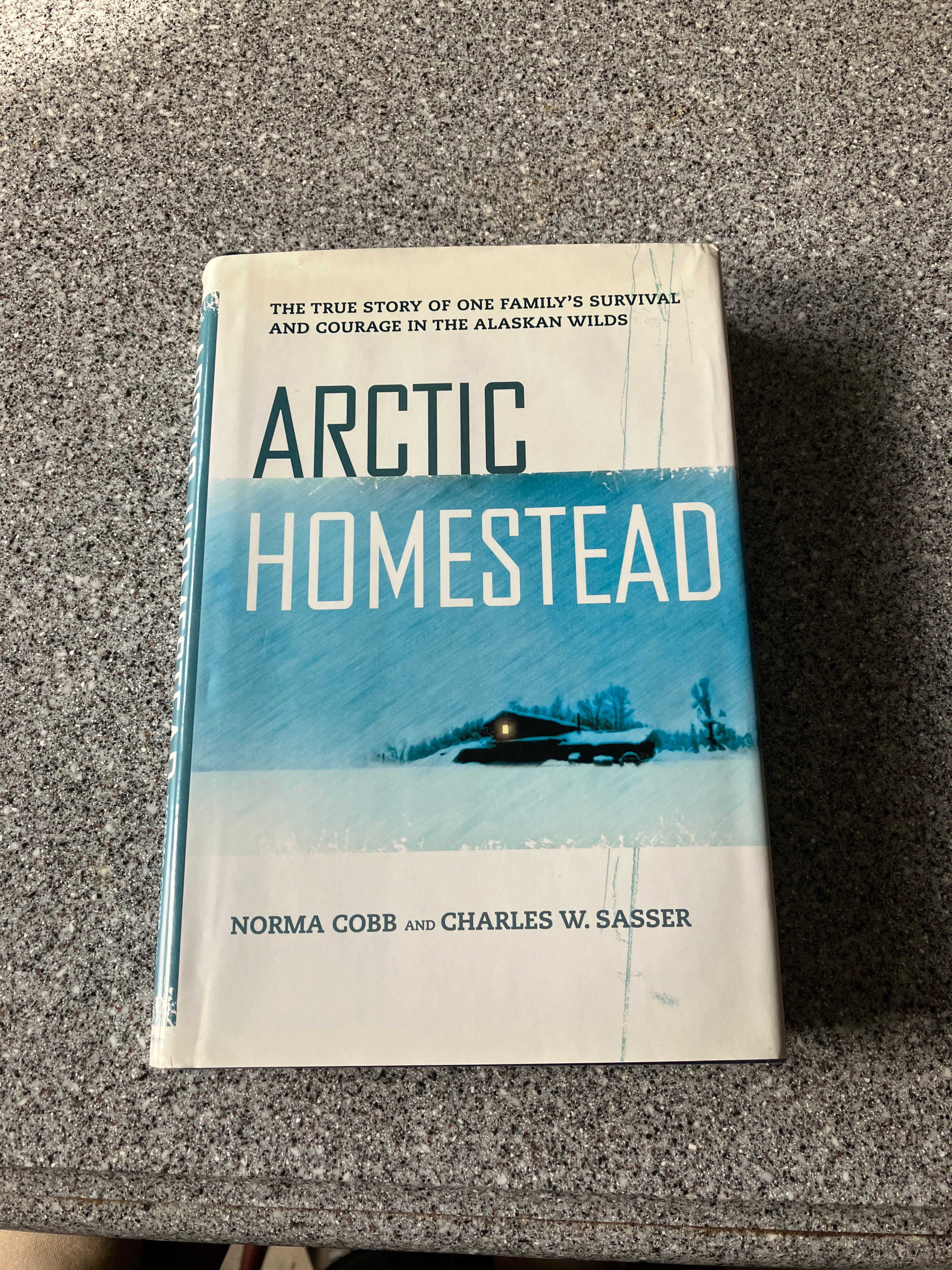 Arctic Homestead