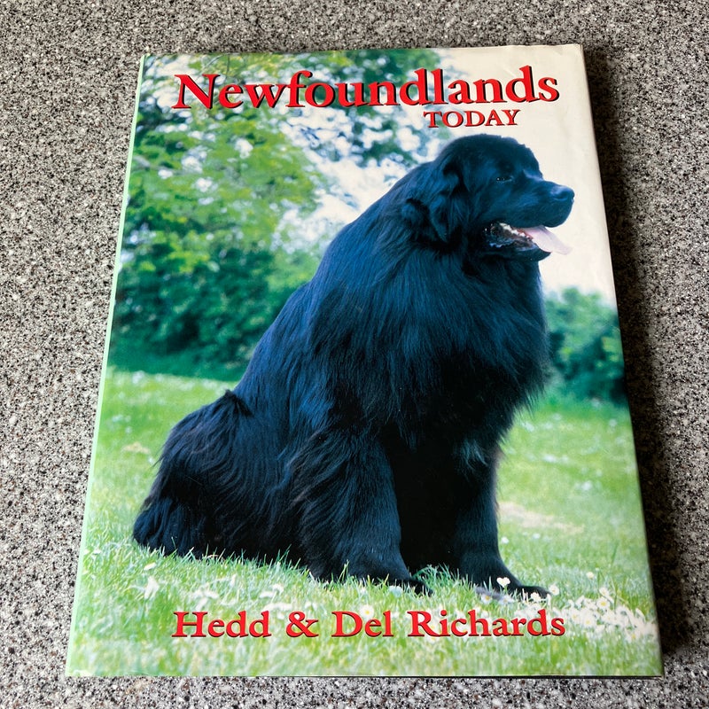 Newfoundlands Today