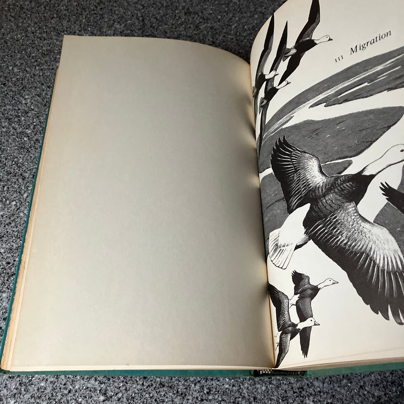 The Bird Watcher’s Anthology 