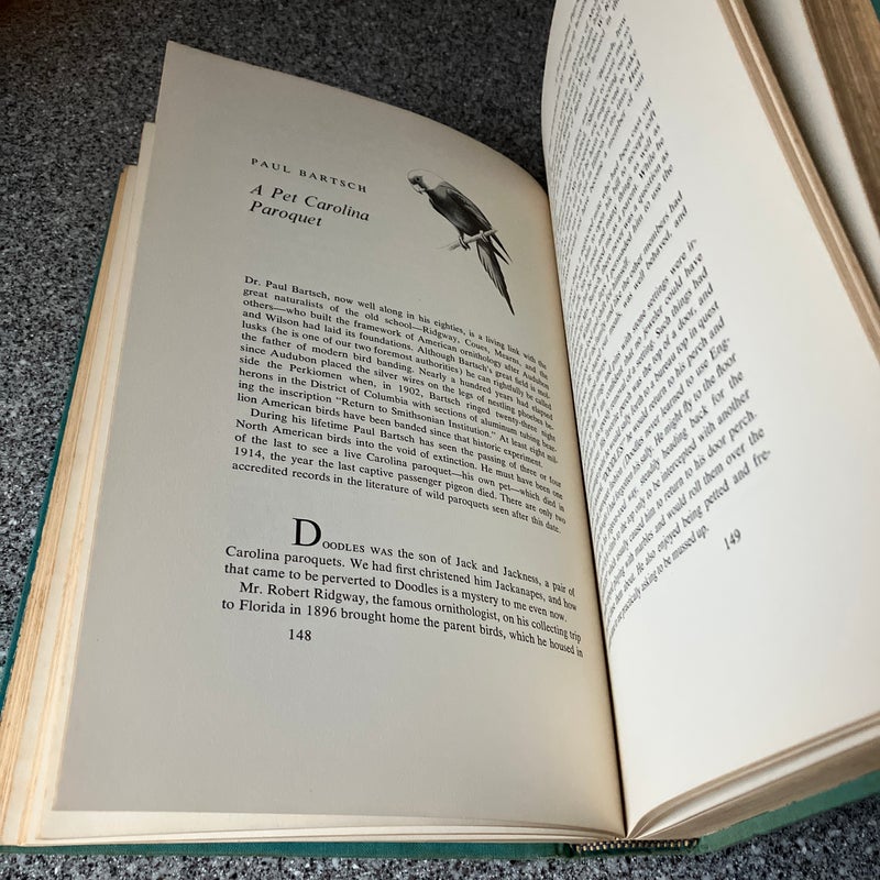 The Bird Watcher’s Anthology 