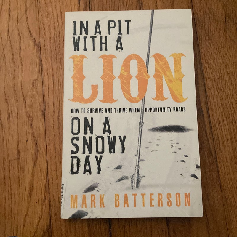 In a Pit with a Lion on a Snowy Day