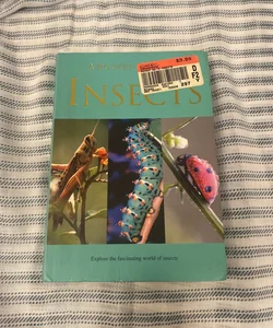 A Pocket Guide to Insects 