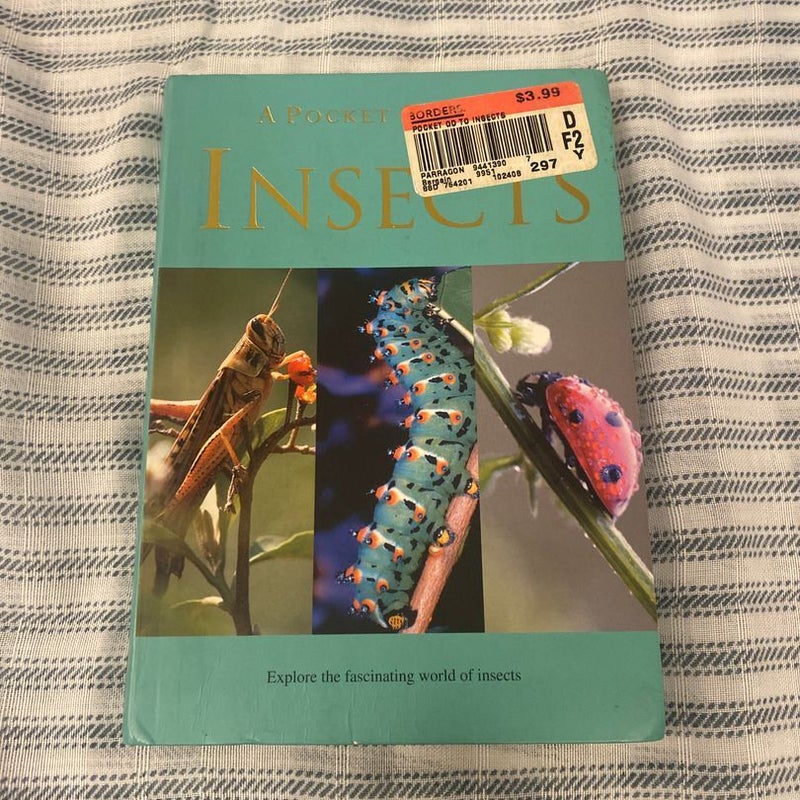 A Pocket Guide to Insects 