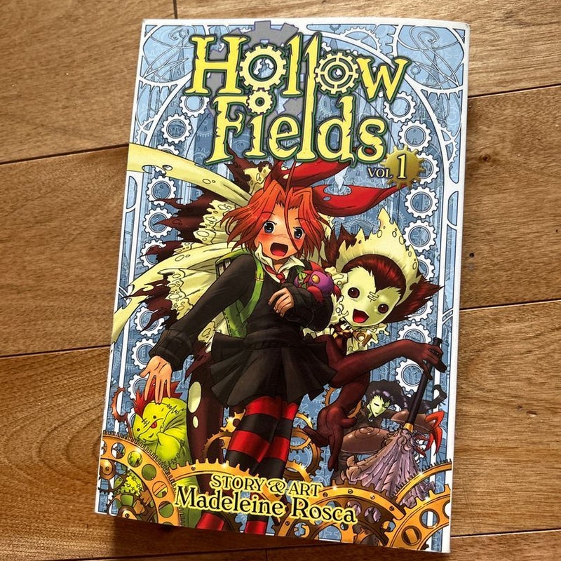 Hollow Fields