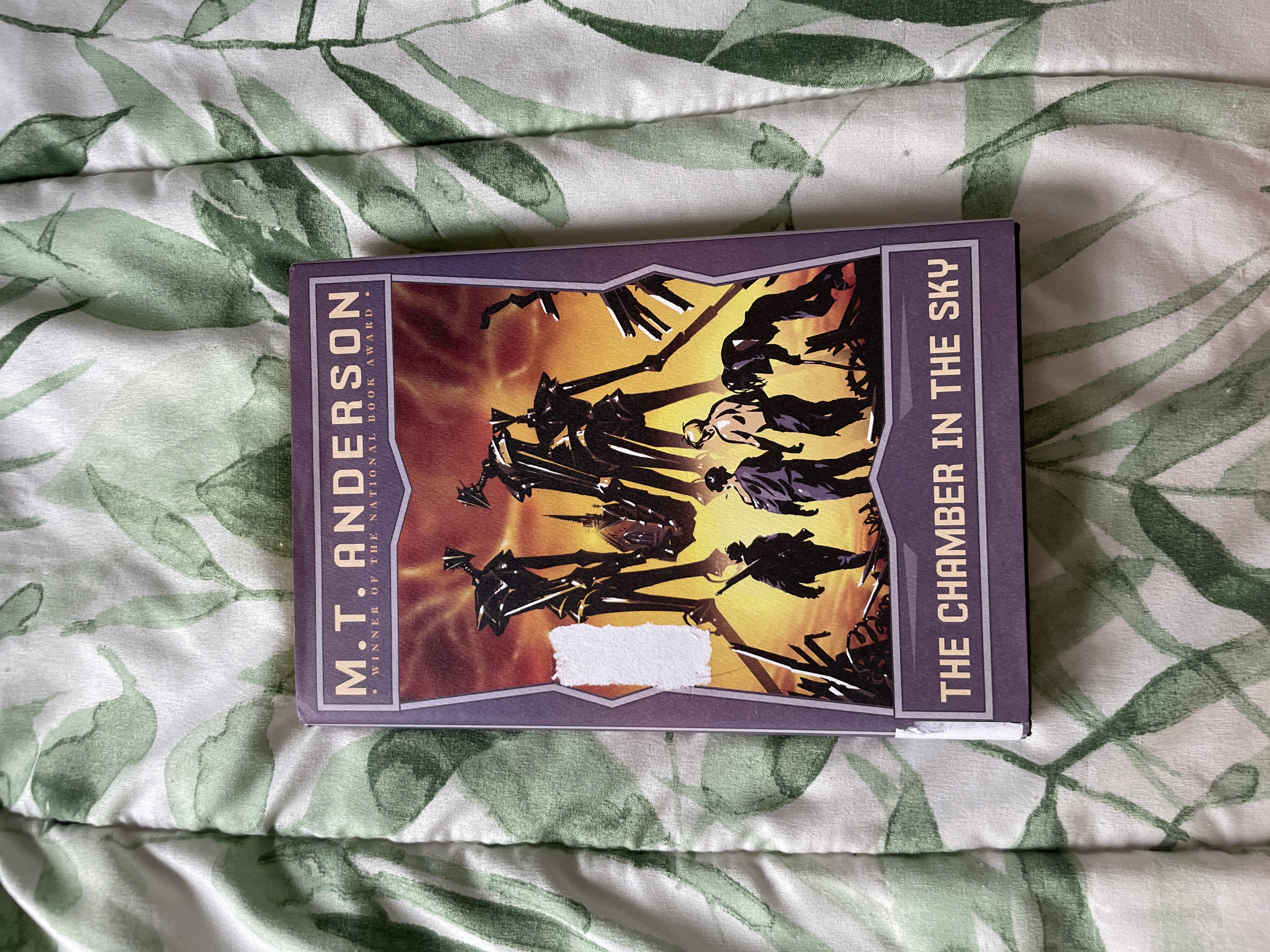 The Chamber in the Sky