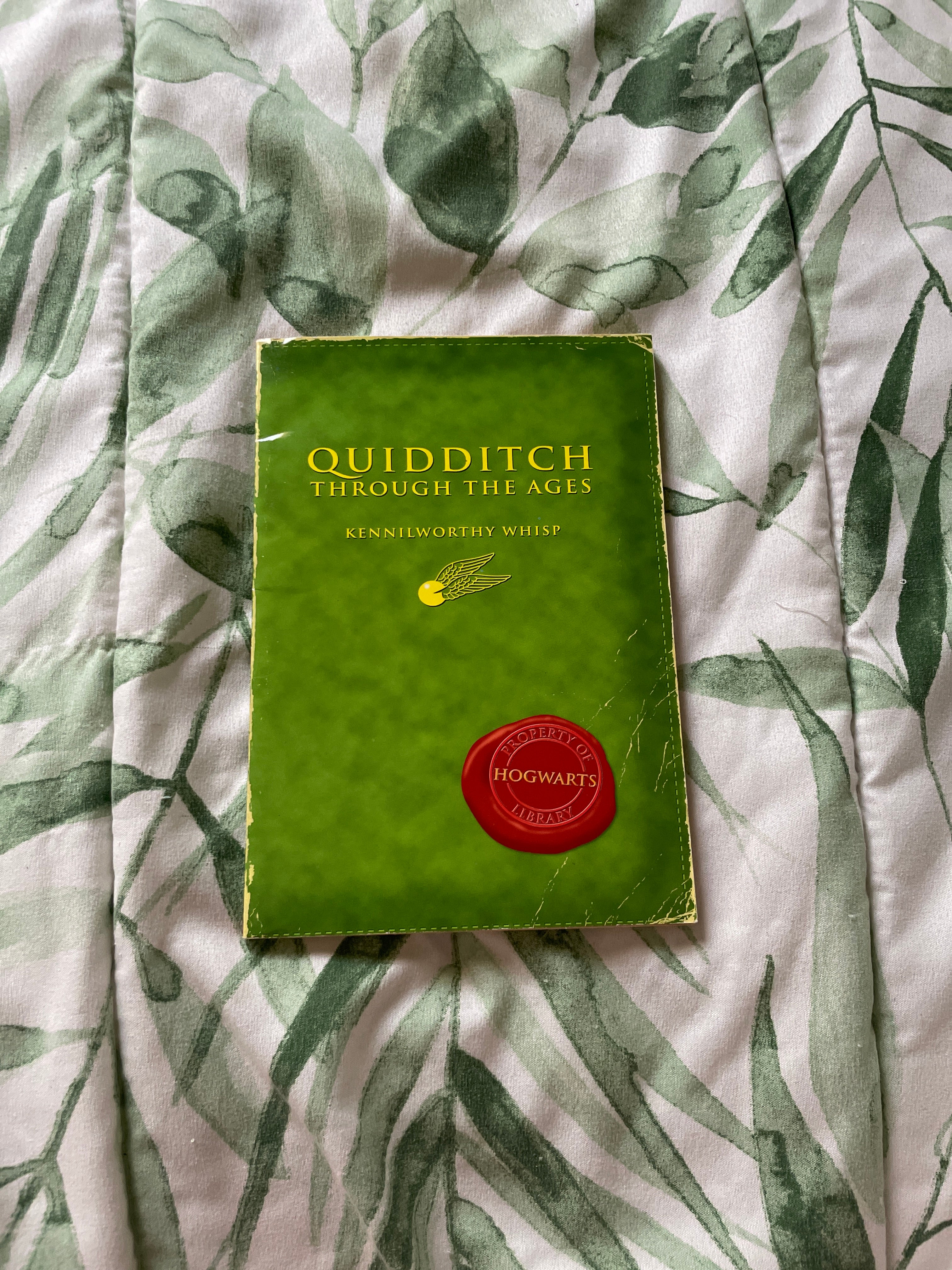 Quidditch Through the Ages