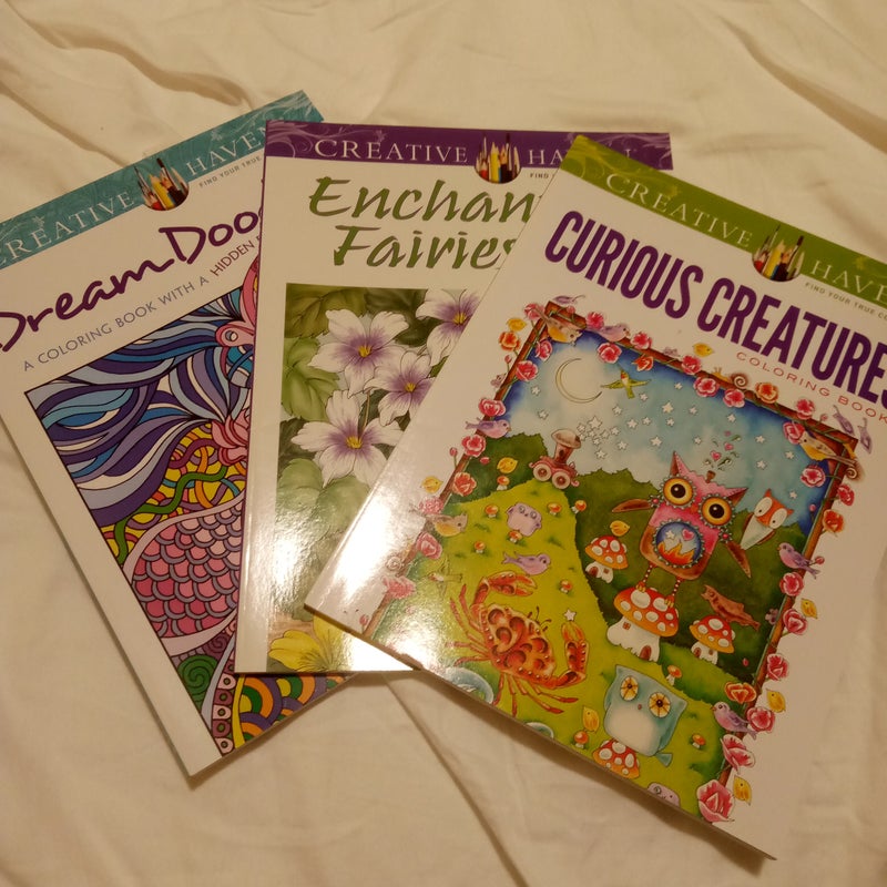 Creative Haven Enchanted Fairies Coloring Book