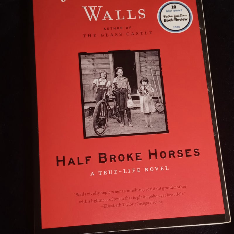 Half broke horses