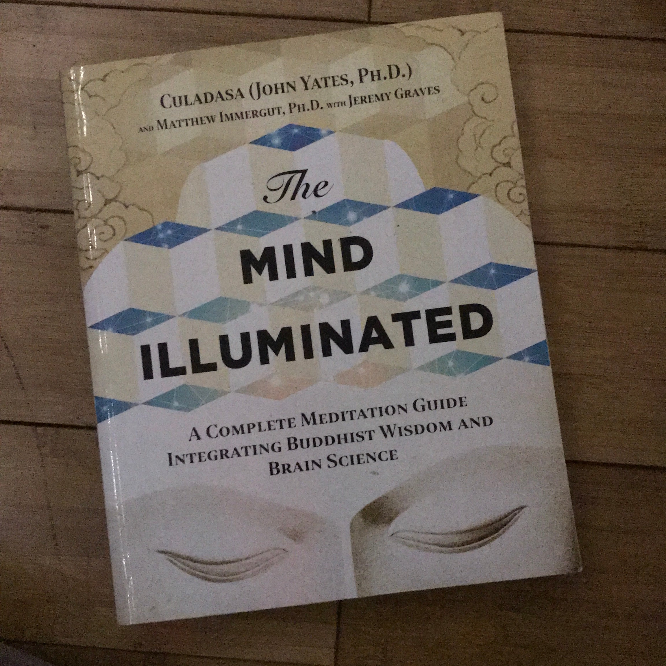 The Mind Illuminated